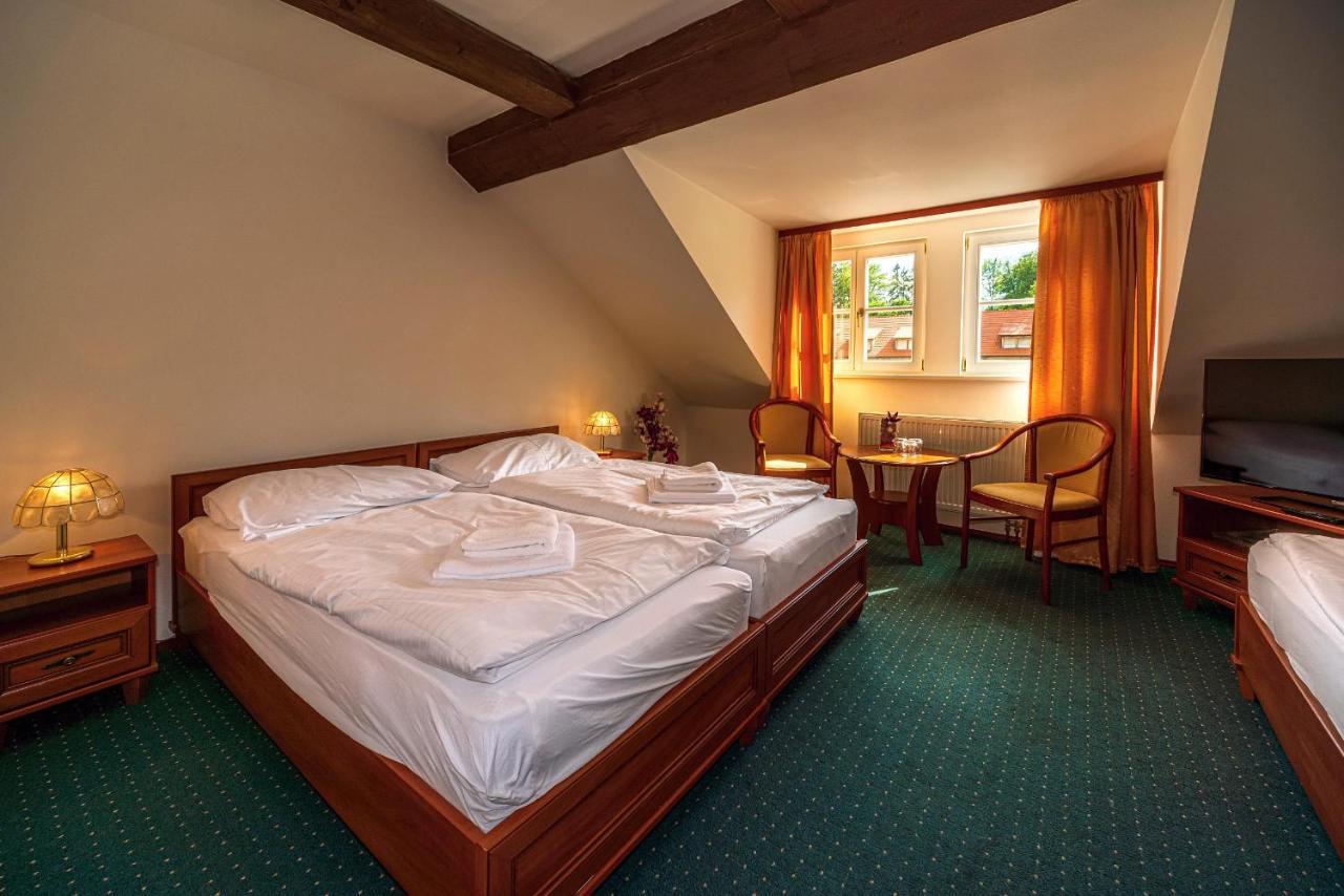 Zámecký hotel Metternich Velka Hledsebe Esterno foto